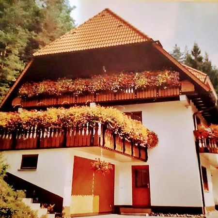 Ferienwohungen Im Kuchersbach Hornberg Eksteriør bilde
