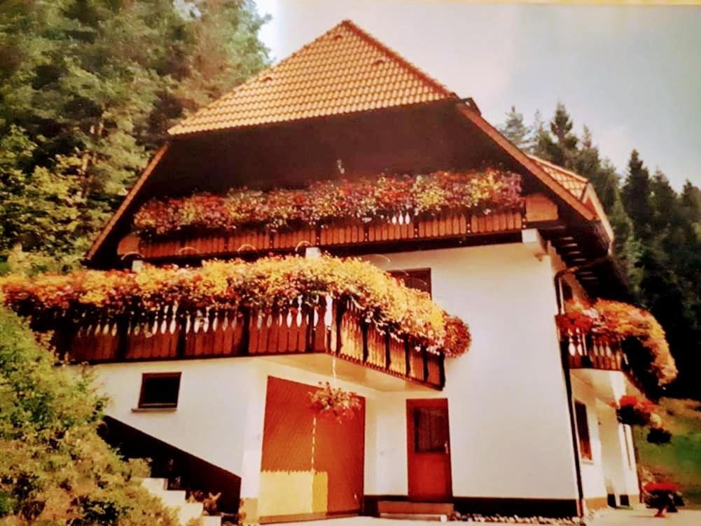 Ferienwohungen Im Kuchersbach Hornberg Eksteriør bilde