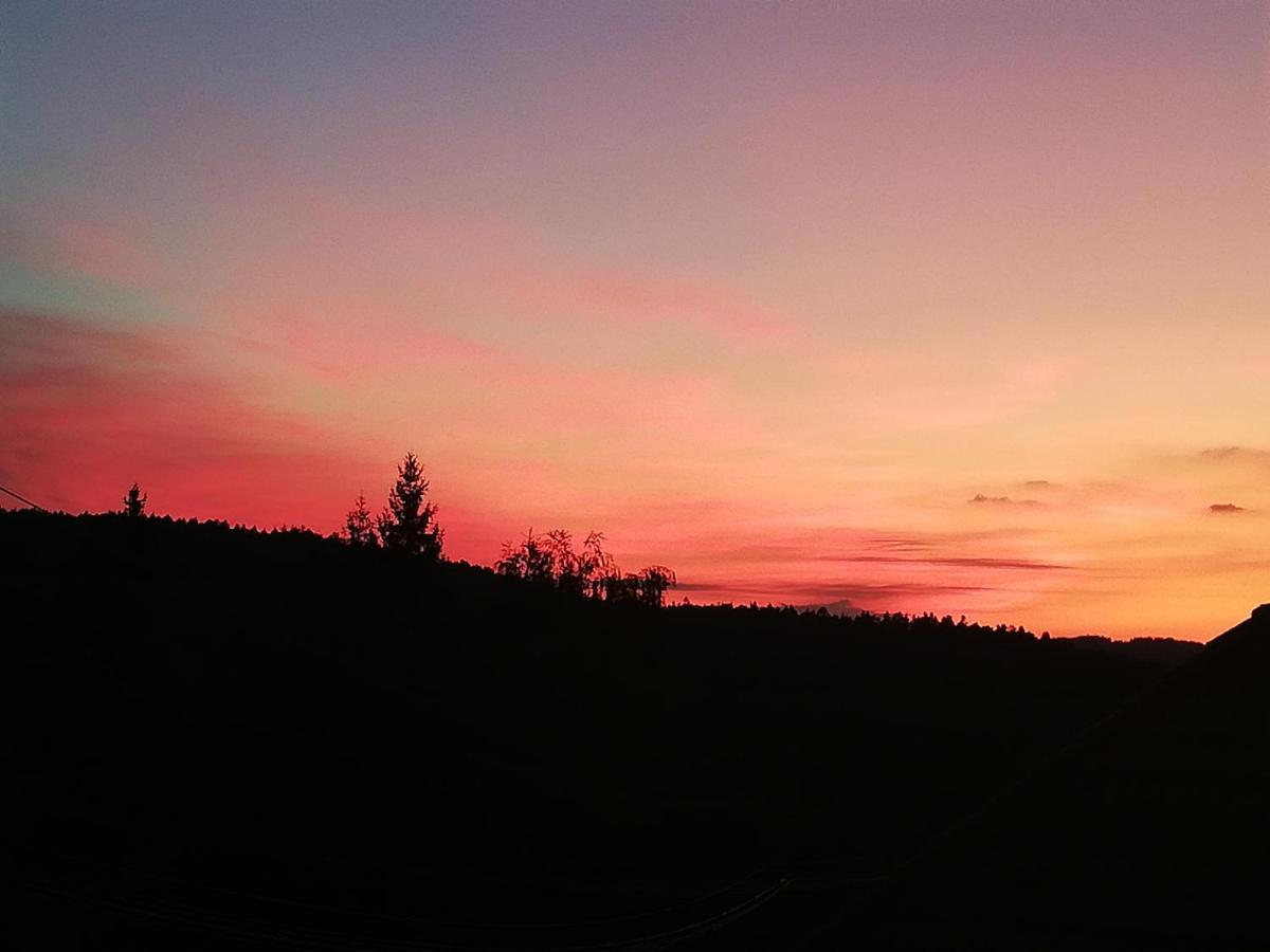 Ferienwohungen Im Kuchersbach Hornberg Eksteriør bilde