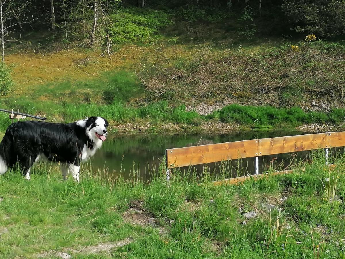 Ferienwohungen Im Kuchersbach Hornberg Eksteriør bilde