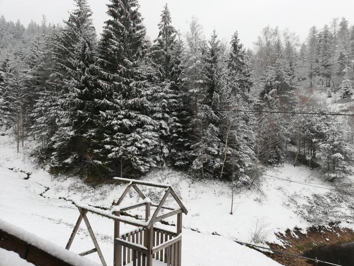 Ferienwohungen Im Kuchersbach Hornberg Eksteriør bilde