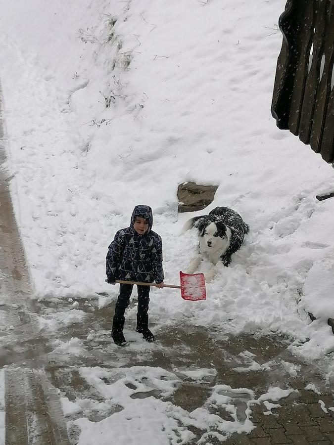 Ferienwohungen Im Kuchersbach Hornberg Eksteriør bilde